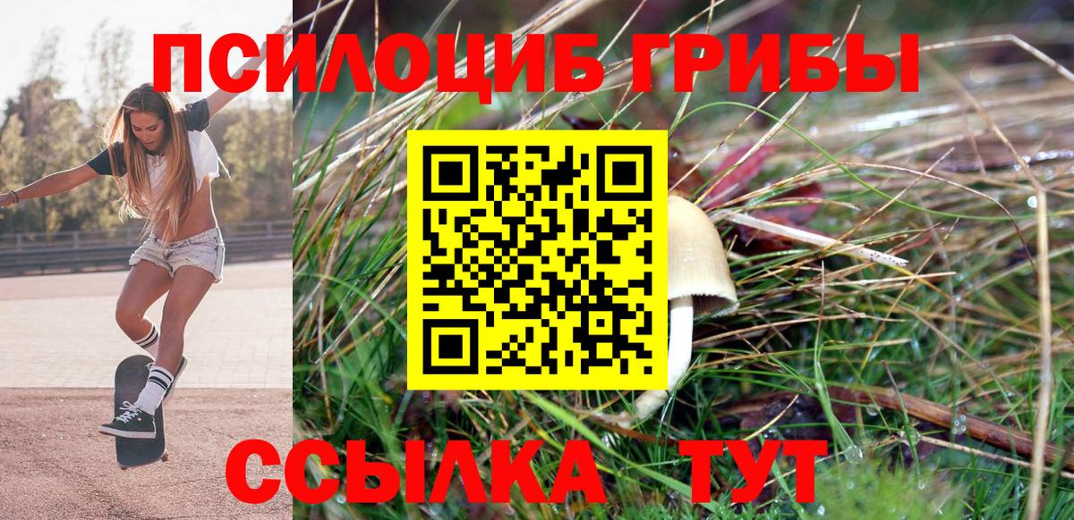 Галлюциногенные грибы мицелий Вичуга