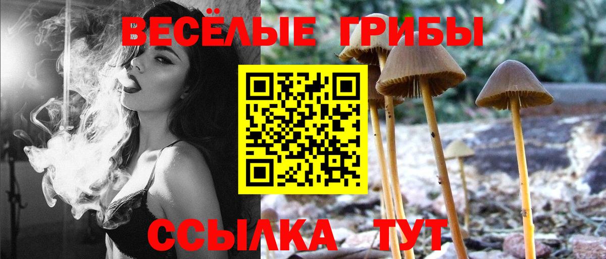 Галлюциногенные грибы Psilocybe  Вход с VPN  Галлюциногенные грибы Magic Shrooms  Вичуга 