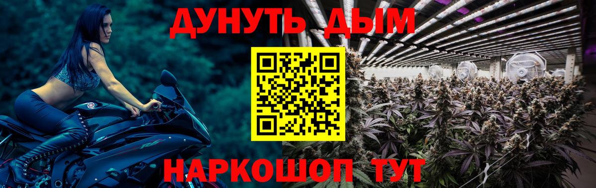 Марихуана семена Вичуга